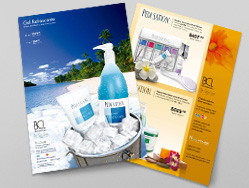 Cliente: Distribuidora NSI