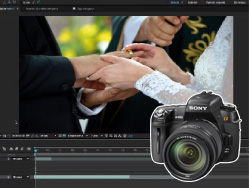 Cliente: Boda de Rosy y Diego